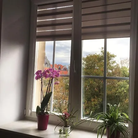 Cozy Studio Oldtown * Gdansk